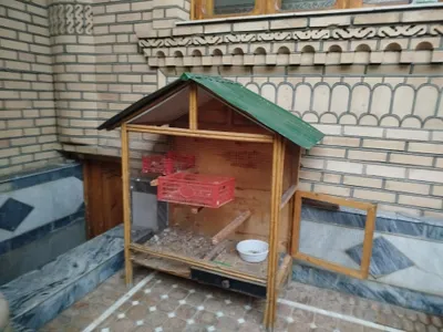 Клетка для птиц