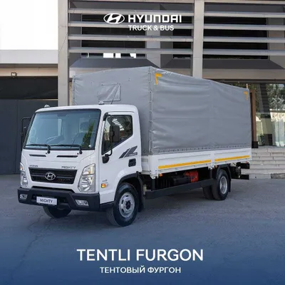 Hyundai Mighty EX8 тентовка бортовой автоплатформа с тентом