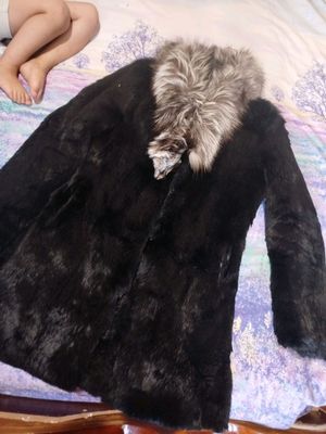 Shuba xolati yaxshi saqlangan