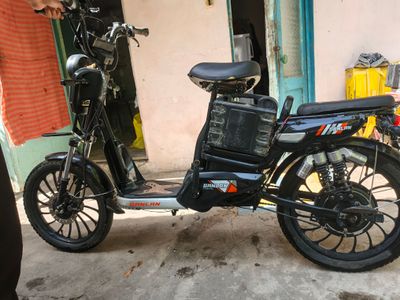 Elektr Skuter