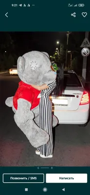 Teddi 1+1 Teddy Bear aksiya +Dastavka arzon narxlarda (Magazin)30/3m