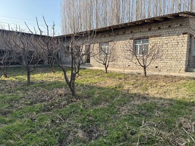 Qibray, vodokanal kocha 7 sotiq yer srochno sotiladi