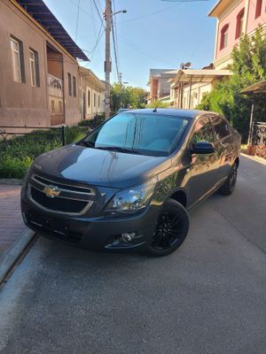 Cobalt midnight мокрый 2025/08