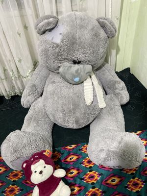 Teddy ayiq mishka katta