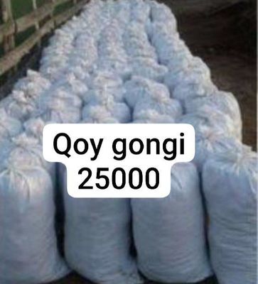 Qoy gongi tozza garantyali