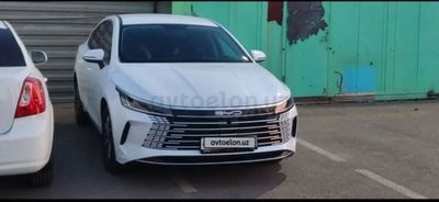 Byd chazor сотлади 2025тоза 1.1пазитса.