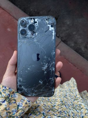 Telifon sotiladi 13 promax singan