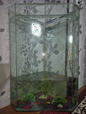 Akvayurm 200 litr