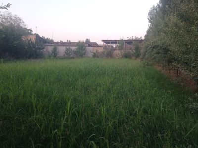 Quruq yer chek sotiladi