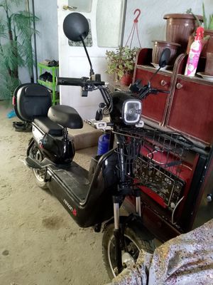 Skuter ideall holatda