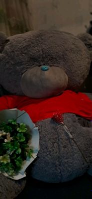 teddy bear 3metr