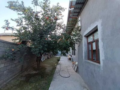 ID 3114 ПРОДАЖА Дома жилое. В Шастри. Паркентский