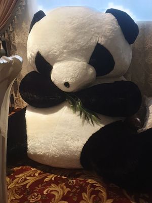 Panda ayiqca kotta.