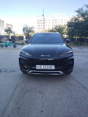 Byd song plus champion 2024