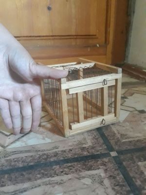 клетка маленькая