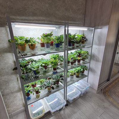 Продам стеллажи для разведения цветов