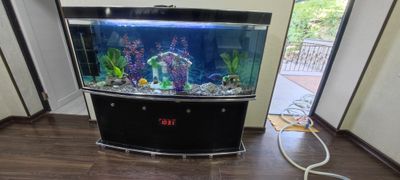 akvarium 500litrli uzunligi 160 sm xolati ideal but butun