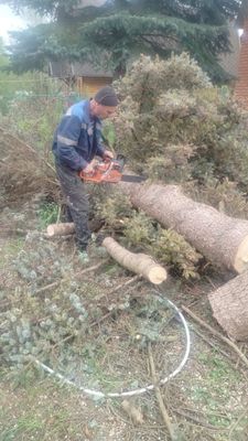 Дарахт кесамиз..