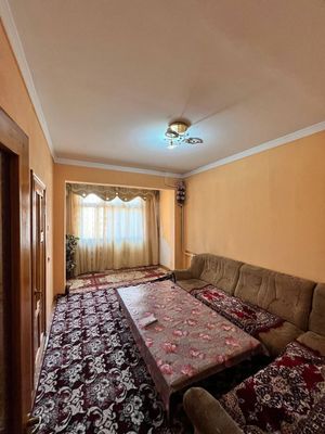 Xontaxta ugalogi bilan birga ARZON NARXda sotiladi