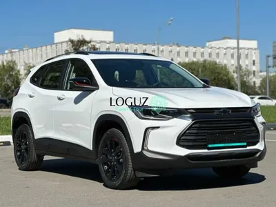 поездки по городам Узбекистана: Самарканд Ташкент Бухара Хива Заамин