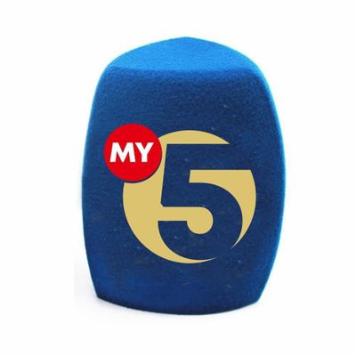 Губка С Логотипом для микрофона