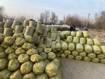 Dolik silos sotiladi sfatga garyantya
