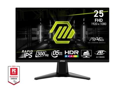 MSI MAG 255XF 25 - inch Gaming Monitor