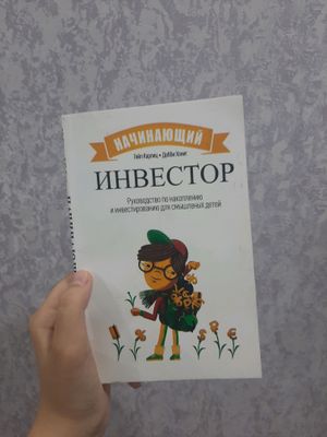 книга Начинающий инвестор
