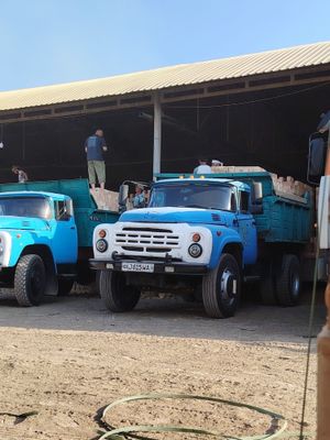 Zil samasval 130