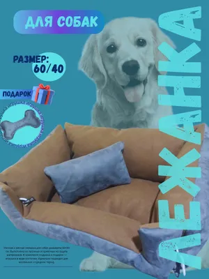 Лежанка для собак