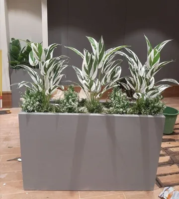 Кашпо суней гулар оптом