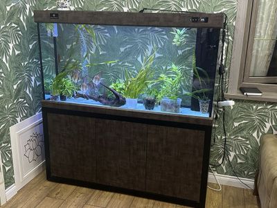 Продам аквариум завод с рыбками