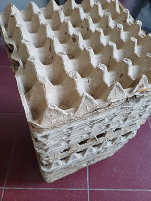 Яичная клетка 1шт 250сум