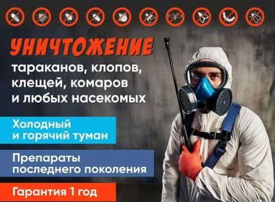 Dezinfeksiya Tarakan klop burga chimoli 100% natija va kafolat