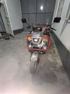 SKUTER largo motors
