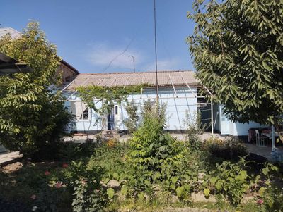 Уй сотилади, Жума шаҳри (Залиния) 8-мактаб олди. 5,6 соток