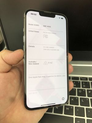 Iphone 13pro lsd display ideal