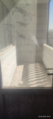 2 etaj uy opshi hona 8 ta 152 kvadrat