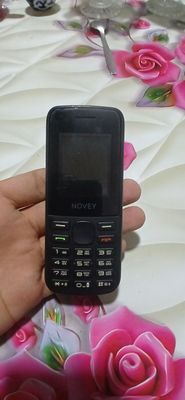 Novey c10 perfectum