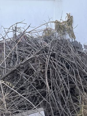 Дрова бесплатно доставки нет