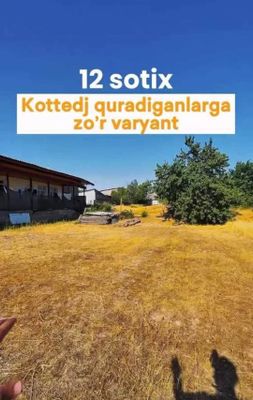 Yer sotiladi 12 sotik