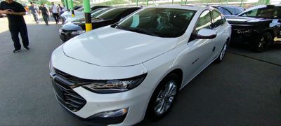 Нотариус Malibu XL 2023