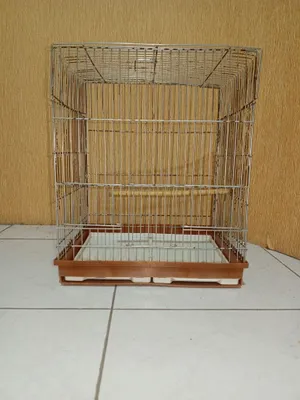 qafas sotiladi holati yaxshi