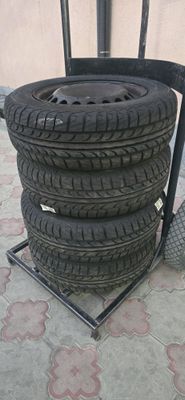 tunga r14 + cobalt gm r14