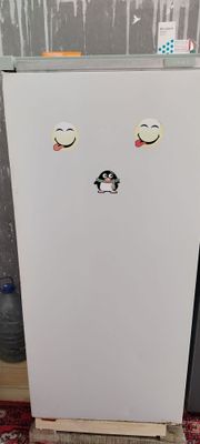 Холодильник орск