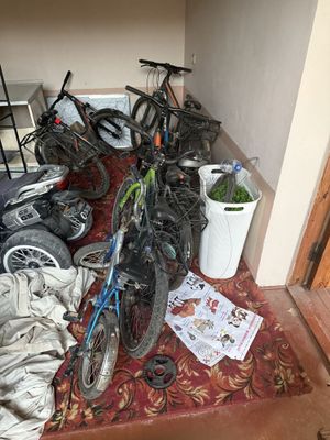 Velisaped sotiladi