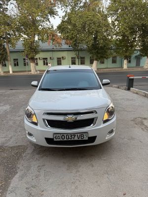 cobolt ideal xolata 2021.