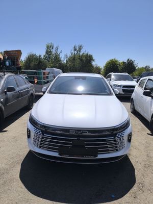 Byd chazor 120 flagship full