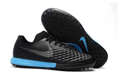 Сороконожки Magista