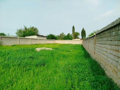 Qibray markazida Yer sotiladi
